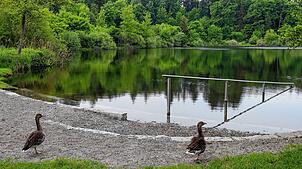 Badegäste dürfen sich zum Start der Badesaison auf einen verbesserten Einstieg in den beliebten Buchensee freuen.