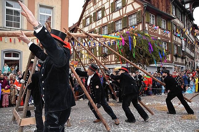Bild 12: Bilder vom Narrenbaumstellen in Meersburg