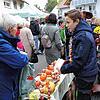 Bild :