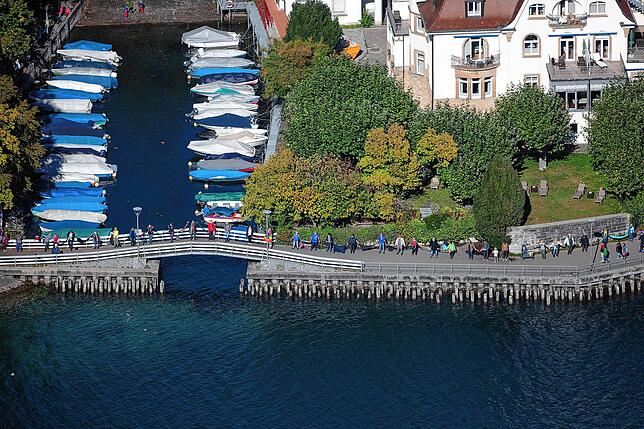 Bild 7: "Querdenker"-Menschenkette Bodensee