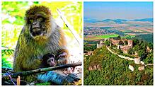 Bild : Ausflugstipps für die Pfingstferien am Bodensee und im Schwarzwald
