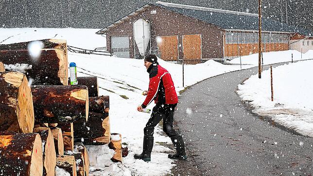 Christian Schwer ist Privatwaldbesitzer an der Grenze zwischen Schönwald und Furtwangen im Obertiefenbach. Ihn haben die Stürme Sabine ...