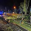 Eine Pappel ist am Waschplatz in Ludwigshafen über die Bahngleise gestürtzt.