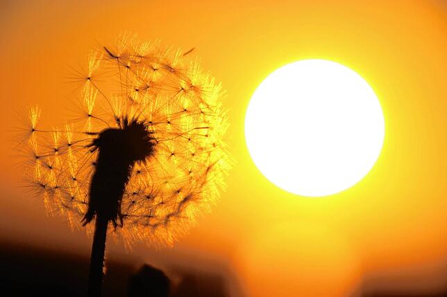 Der Sonnenuntergang, der direkt in den Sonnenaufgang übergeht: Das kann sich hier über vier oder fünf Stunden hinziehen – und ...