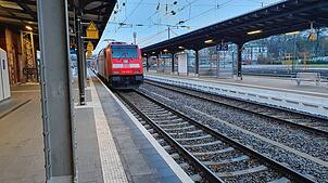 Zwischen Villingen und Schwenninen fahren jetzt wieder Züge. Zwei Kälber waren am Mittwochmittag ausgebüxt, eines trieb sich unter ...
