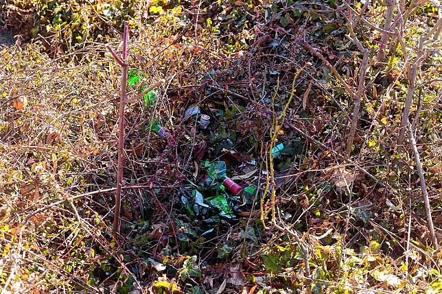 Zerbrochene Alkoholflaschen am Aquastaad-Parkplatz: ein Verletzungsrisiko vor allem für Tiere.
