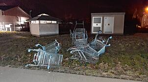 Einkaufswägen der Aldi-Filiale in Jestetten, die einfach in die Wiese geworfen werden, im Hintergrund das WC-Häuschen, dass seit ...
