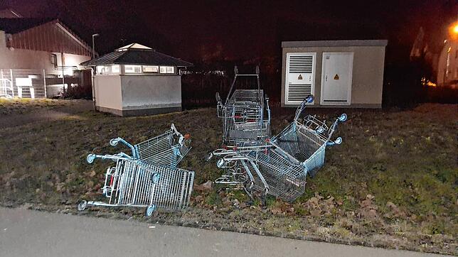 Einkaufswägen der Aldi-Filiale in Jestetten, die einfach in die Wiese geworfen werden, im Hintergrund das WC-Häuschen, dass seit ...
