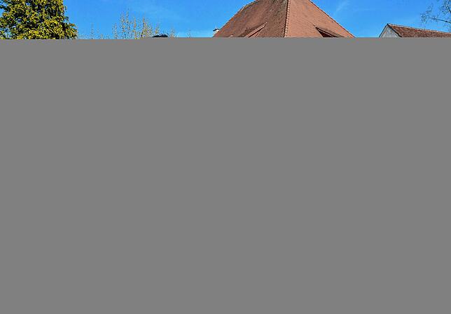 Bild 14: Die besten Bilder vom Narrensprung in Markdorf
