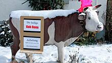 Bild : Bilder vom Schmotzigen Dunschdig von der Höri