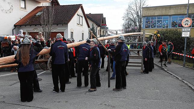 Bild 17: Seenarrentreffen in Dettingen: Auf dem Dorfplatz steht jetzt der Narrenbaum