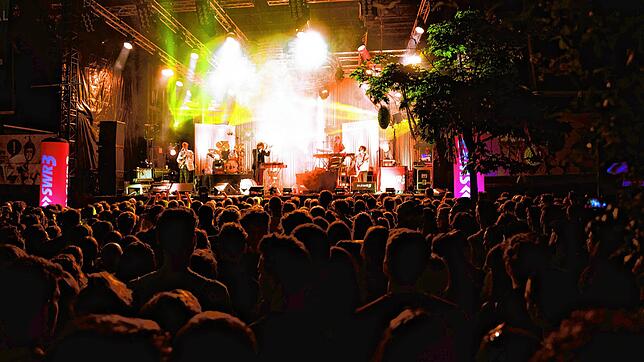 Zuletzt fand das Campus-Festival im Mai 2019 im Wald bei der Universität statt. 2020 und 2021 musste es wegen der Corona-Pandemie ...