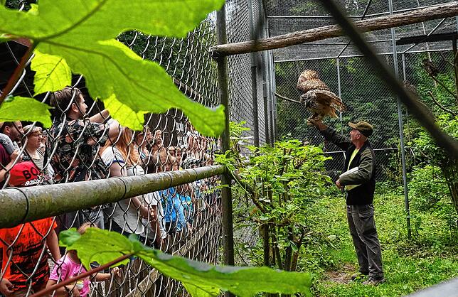 Bild 15: Alle Bilder: 50 Jahre Wildgehege Waldshut &ndash; Teil Eins