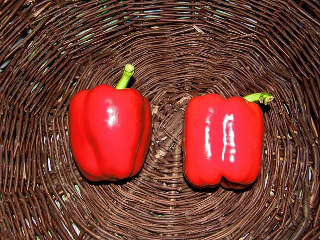 Paprika sind eines der wichtigsten wirtschaftlichen Standbeine der Reichenauer Gemüseerzeuger. Angebaut werden sie vor allem in großen ...