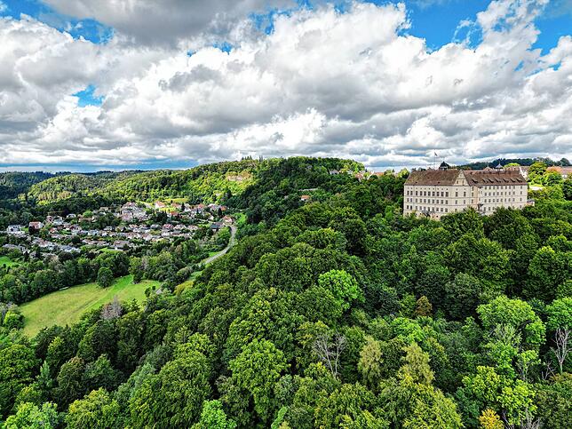 Luftbild von Heiligenberg mit dem Schloss und dem Ortsteil Steigen darunter.