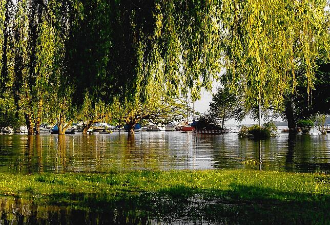 Bild 14: Gedächtnis der Region: Bilder vom Hochwasser 1999 in Bodman-Ludwigshafen