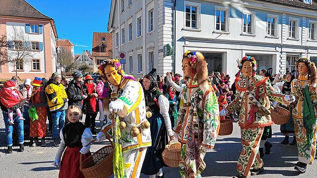 Bild 3: Fasnet 2025: Die besten Bilder vom Umzug in Hüfingen