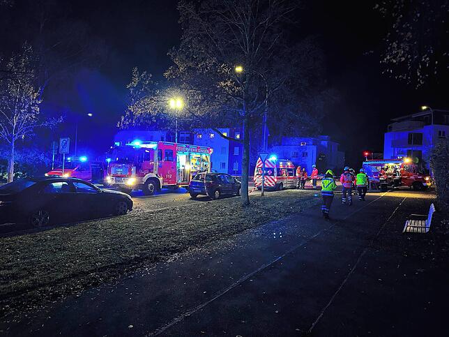 Bild 3: Schon über 500 Einsätze! Feuerwehr Singen hat jede Menge zu tun