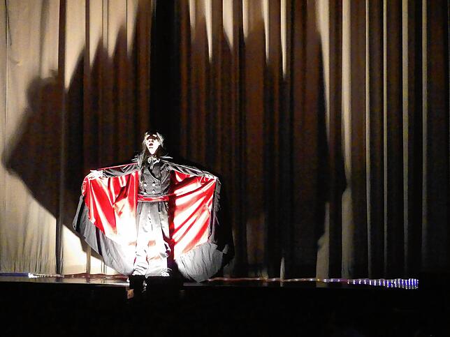 Bild 12: Musical-Karussell feiert Premiere: Das sind die Bilder (II)