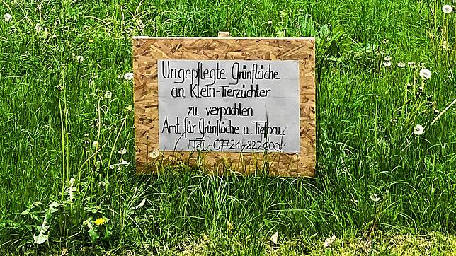 Seinen Unmut über die Wiesen-Optik in den Ringanlagen hat ein Villinger Bürger hier in witziger Weise auf einem Schild dargelegt: ...