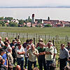 Kann man bei der Trassenwahl für die B&nbsp;31-neu den Wert von Weinbergen am Seeufer gegen den der Sonderkulturen von Obst und Beeren ...
