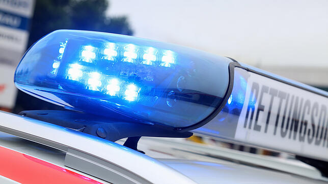 (Symbolbild) Der 84-jährige Pedelec-Fahrer hatte keinen Helm getragen und erlitt durch den Sturz auf den Weg schwere Verletzungen.