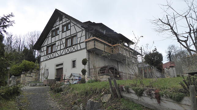 Die Alte Mühle wurde im Jahr 1746 errichtet. Hier der Blick aus Südosten. Das Mühlrad hat Albert Bregenzer von einer Mühle aus Weizen ...