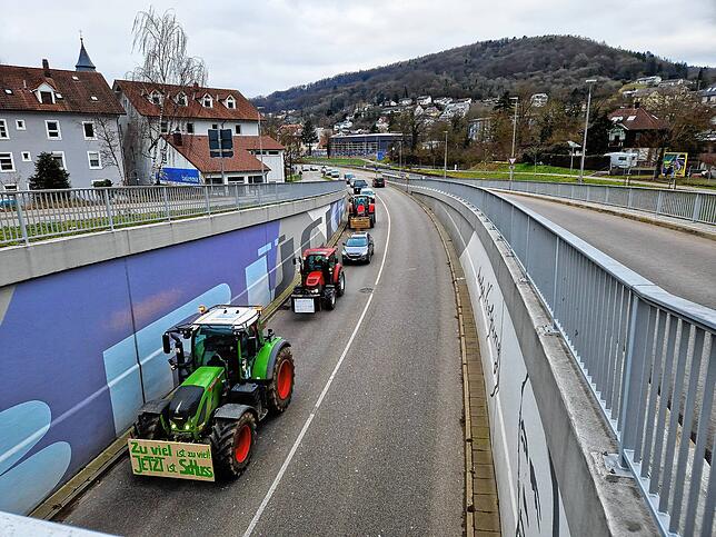 Bild 15: Protest der Landwirte &ndash; Bilder der Sternfahrt nach Horheim am Montag