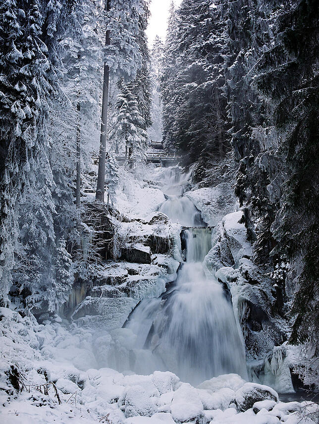 Aus Sicherheitsgründen gesperrt ist derzeit das Triberger Wasserfallgebiet.