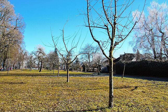 Diese von der Stadt angelegte Streuobstwiese am Hofgarten wurde gefördert vom Naturpark Obere Donau mit Mitteln des Landes ...