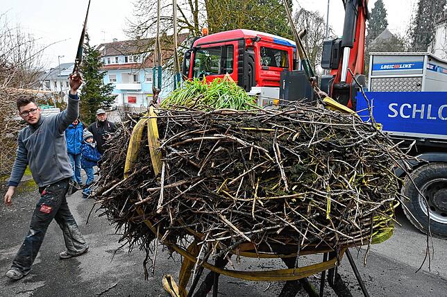 Im alten Storchenhorst wuchs zuletzt sogar Gras.