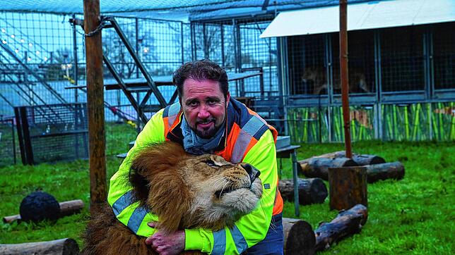 Martin Lacey jr. ist Zirkusdirektor und Raubtierdompteur. Er zeigt eine Show mit 18 Tigern und Löwen &ndash; gleichzeitig.