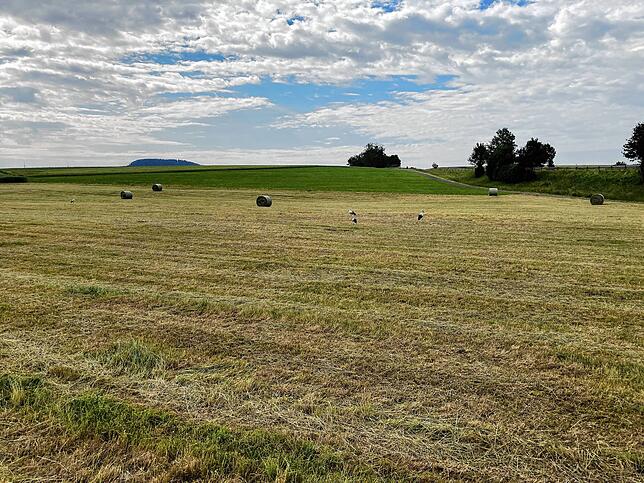Schön idyllisch ist es zwischen Biesingen, Oberbaldingen und Öfingen. Aber der Berg im Hintergrund zeigt: Diese Landschaft kann auch anders.