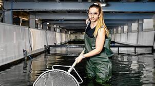Die Anlage in Rheinfelden ist aktuell gut mit Shrimps gefüllt. Wie es weitergeht, ist aber noch offen. Foto: Simon von Gunten