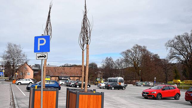 Parkplatz für Autos: Das Schild am Dillplatz zeigt es schon seit langem an, wie dieses Archivbild aus dem März 2019 zeigt. Damals wurden ...