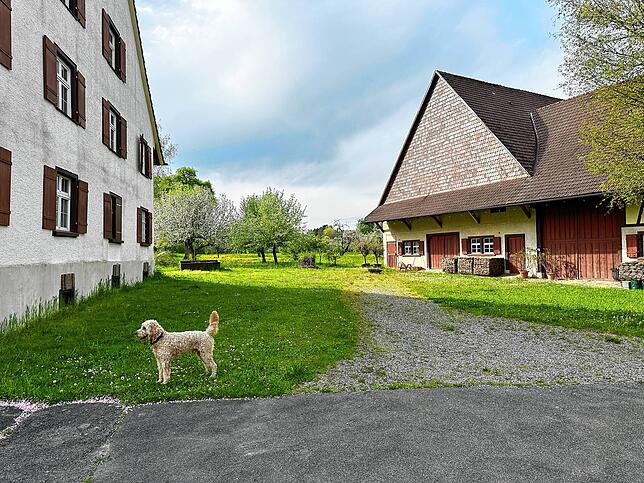 Hund Fussl fühlt sich auf dem Gelände pudelwohl. Links das Haupthaus, rechts die Scheune. Auch für den Außenbereich haben Rädekers ...