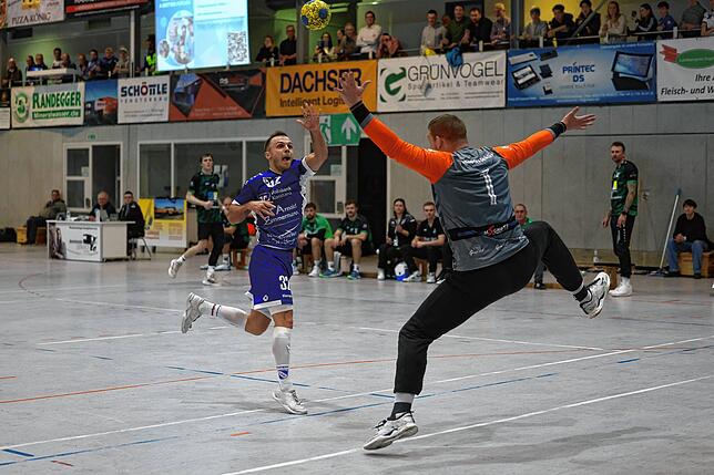 Bild 1: Unsere große Bildergalerie vom Steißlinger Derbysieg in der Handball-Oberliga gegen den TV Ehingen.