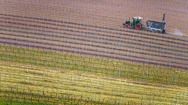 Trecker im Weinberg Der junge Mann kippte mit seinem Trecker um und wurde lebensgefährlich verletzt. (Symbolbild)