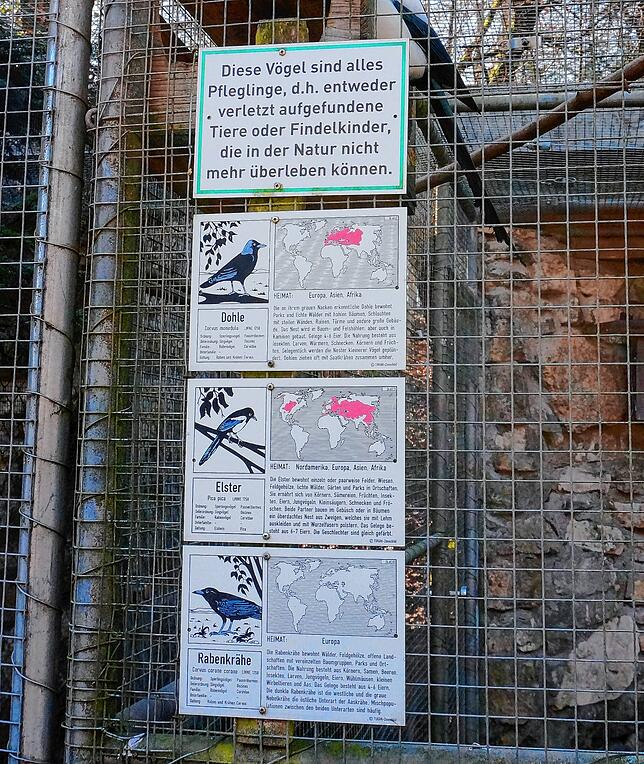 Solche Schilder klären Besucher im Wildgehege über die Herkunft der Vögel auf.