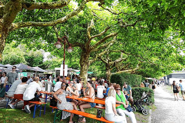 Bild 23: So schön war es auf dem Hausherrenfest am Radolfzeller Seeufer