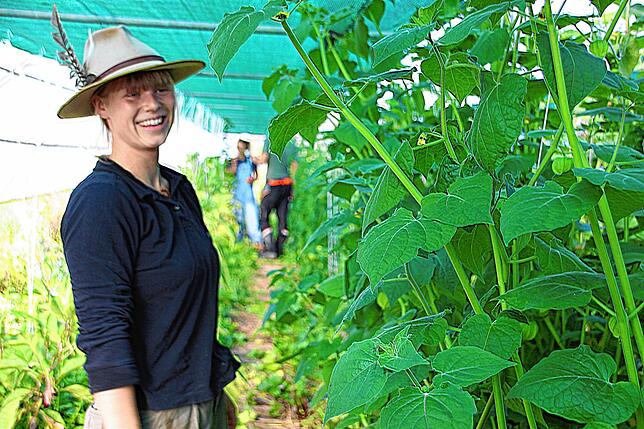 Gemüsegärtnerin Franziska Schmitz freut sich. Die Physalis gedeihen im Folientunnel wunderbar.