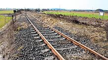 Ab Juli sollen an Sonntagen und Feiertagen die ersten Touristen auf der Strecke der Ablachtalbahn fahren können. Biberbahn soll die ...