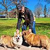 Peter Krafft aus Unterbränd kommt gerne mit seinen zwei Corgis Louis (links) und Abbey in den Donaueschinger Schlosspark zum Spazieren.