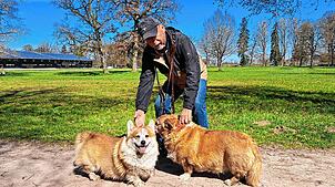 Peter Krafft aus Unterbränd kommt gerne mit seinen zwei Corgis Louis (links) und Abbey in den Donaueschinger Schlosspark zum Spazieren.