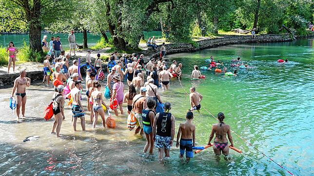 Baden im Rhein &ndash; wie hier beim Grenzüberschreitenden Rheinschwimmen in Rheinfelden &ndash; ist im diesem Jahr vermutlich beliebter ...