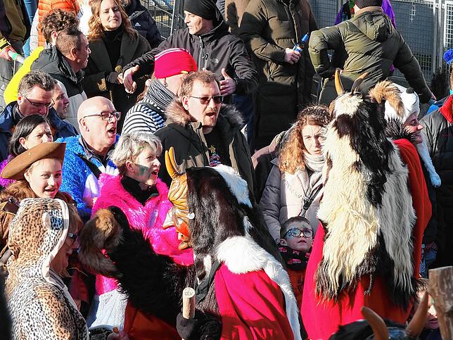Bild 10: Großer Jubiläumsumzug der Narren in Niedereschach – Teil 2