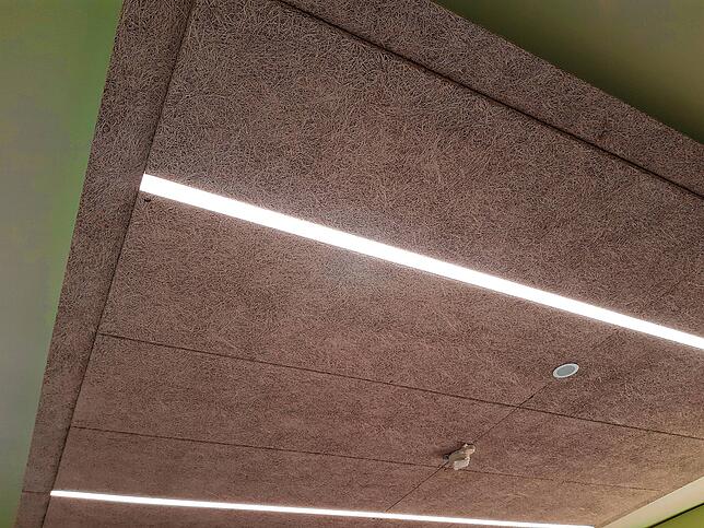 Die Räume der Stadtbibliothek sind mit Schallschutzdecken ausgestattet.