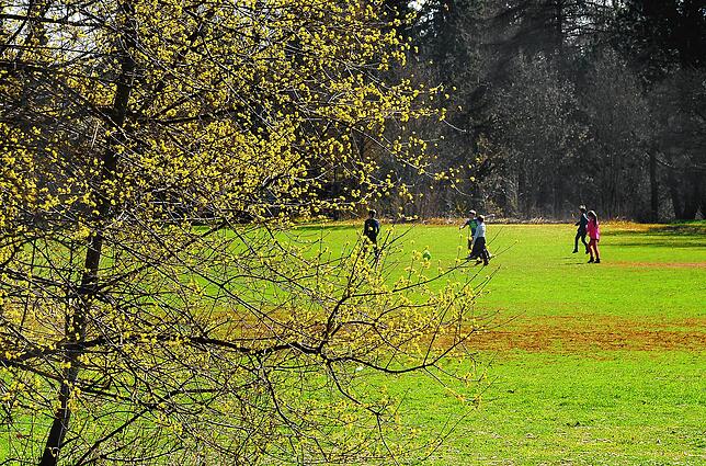 Blick auf den Bolzplatz auf dem Villinger Hubenloch. Im hinteren Bereich am Rand zu der Baumreihe soll in den nächsten Wochen ein ...