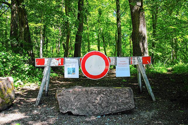 Der Wald Schiedelen ist derzeit wegen des Eschensterbens gesperrt – zu groß ist die Gefahr, dass sterbende Bäume umfallen.