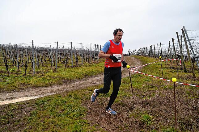 Bild 2: Bilder vom Crosslauf Hegau-Bodensee in den Reben oberhalb der Haltnau